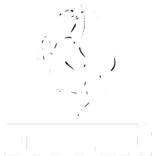 Logo_White-7